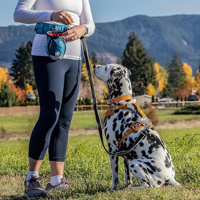 Kurgo G-Train - Dog Carrier Backpack for Small Pets - Cat &amp; Dog Backpack for Hiking, Camping or Travel - Waterproof Bottom - Ink Blue