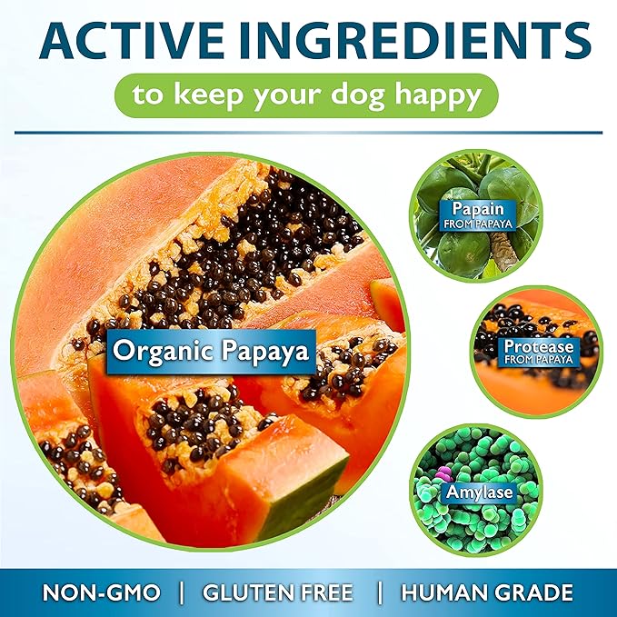 Papaya for Dogs Digestive Enzyme Complex to Support Normal Intestinal Function, Boost Immunity, with Organic Papaya Fruit + Papain, Protease &amp; Amylase, 90 Soft Chews