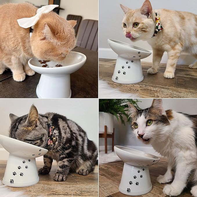 Necoichi Extra Wide Raised Cat Food Bowl, Elevated, Prevent Neck &amp; Whisker Fatigue, Dishwasher and Microwave Safe, No.1 Seller in Japan! (Cat, Extra Wide Tilted)
