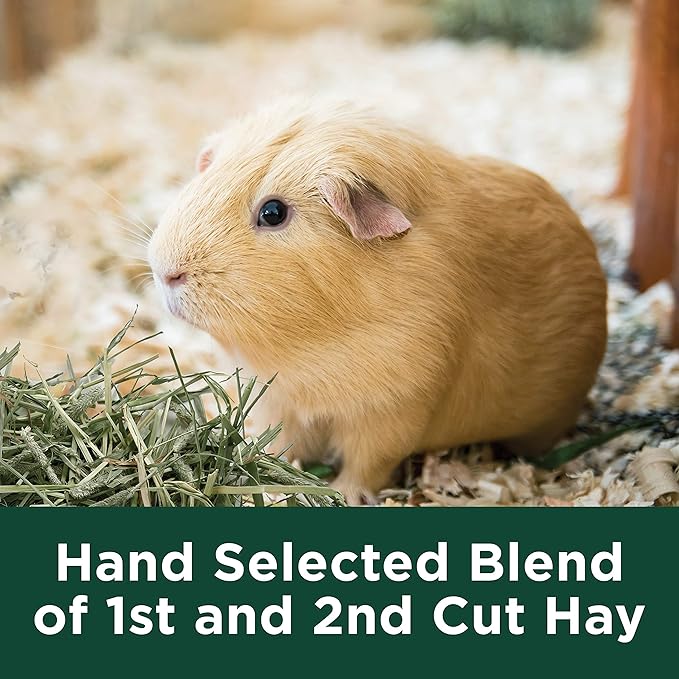 Kaytee All Natural Timothy Hay Plus Marigolds for Guinea Pigs, Rabbits &amp; Other Small Animals, 24 Ounce