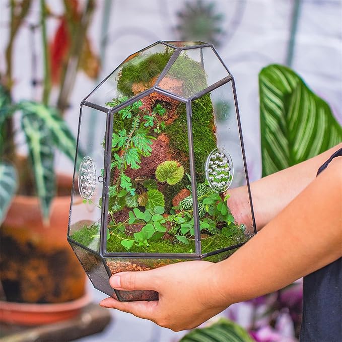 NCYP Closed Geometric Glass Enclosure with Front Opening Door &amp; 2 Vent Holes for Insects, Succulent, Cacti - 7.9"x6.9"x9.8" Black Irregular Terrarium Planter - Home Garden Tabletop Decor (No Plants)