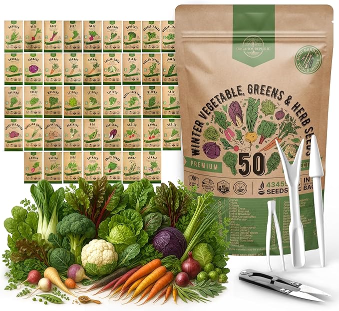50 Winter Vegetable Garden Seeds Variety Pack - 43,450+ Non-GMO Heirloom Seeds for Outdoors &amp; Indoor Home Gardening, Including Kohlrabi, Lettuce, Radish, Onion, Choy, Spinach, Cauliflower, Collards