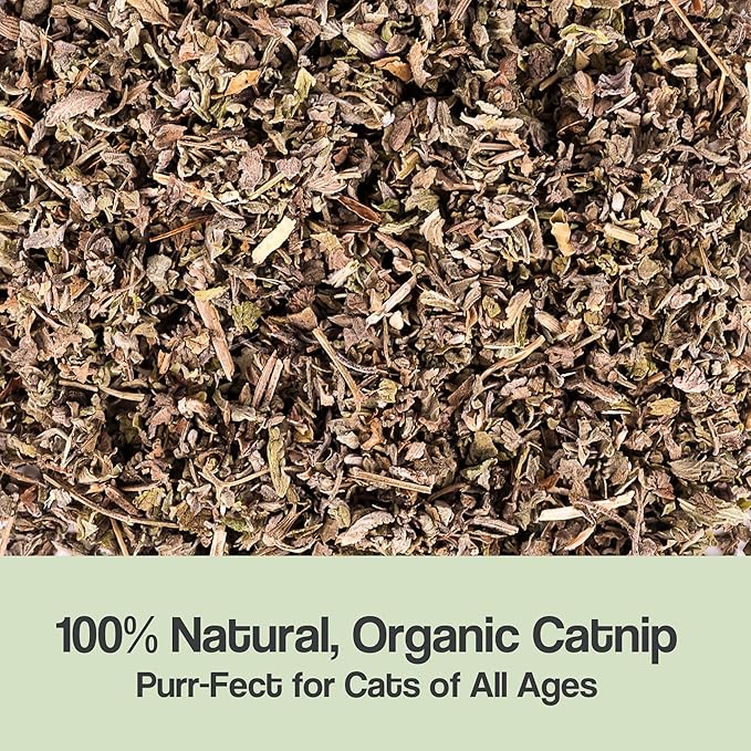 Organic Catnip for Cats &amp; Kittens – 1.76 oz Premium Natural Catnip, High Potency Blend for Playtime, Training, and Stress Relief, 2 Cups of Dried Cat Nip Leaves
