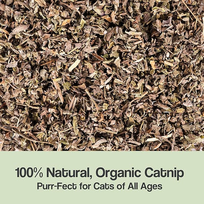 Organic Catnip for Cats &amp; Kittens – 1.76 oz Premium Natural Catnip, High Potency Blend for Playtime, Training, and Stress Relief, 2 Cups of Dried Cat Nip Leaves