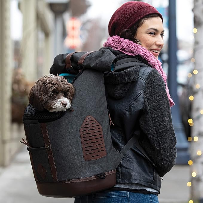 Kurgo Dog Carrier Backpack for Small Pets - Dogs &amp; Cats | Cat | Hiking or Travel | Waterproof Bottom | K9 Ruck Sack (Heather Black)
