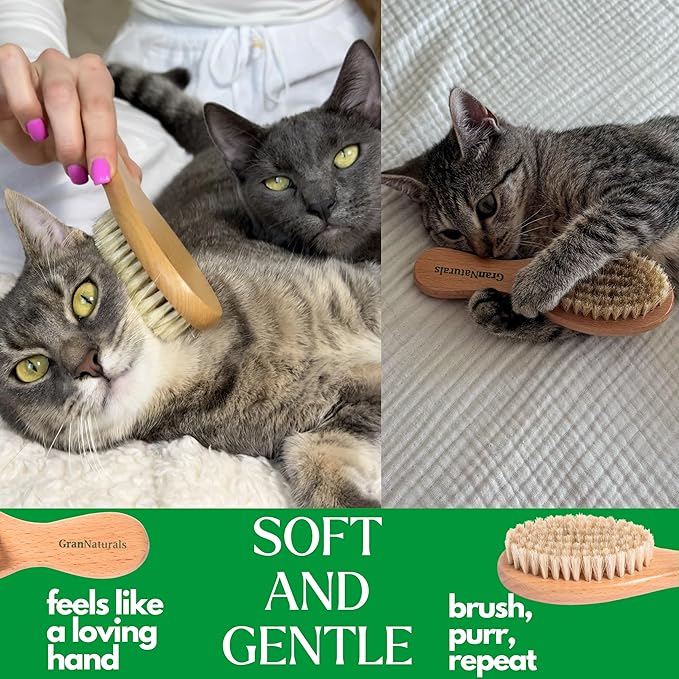 GranNaturals Boar Bristle Soft Cat Brush for Indoor, Outdoor, Short Haired Cats, Kittens, Small Dog, Rabbit, Furry Pets - Gentle Grooming on Sensitive Hair Coat &amp; Tail with Durable Wooden Handle