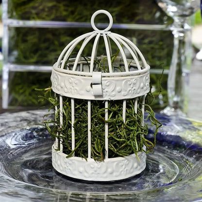 Weddingstar Miniature Round Birdcage Favors in White - Pack of 4