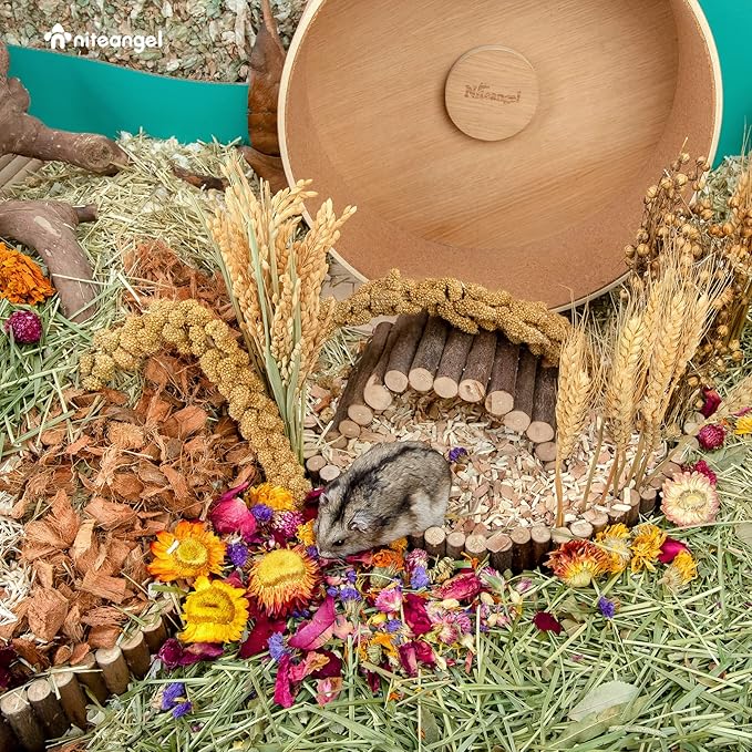 Niteangel Natural &amp; Soft Hamster Bedding Mate Small Animal Habitat Decor for Syrian Dwarf Hamsters Gerbils Mice Degus Bunny or Other Small-Sized Pet (Flowers Scent Path)
