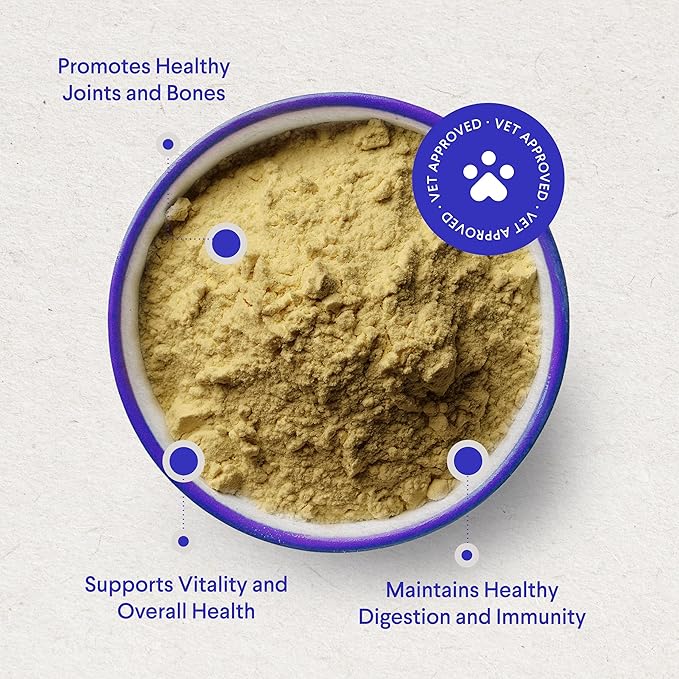 Bone Broth for Dogs – Bone Broth Powder with Organic Mushrooms &amp; Collagen for Digestion, Immunity &amp; Joint Support – Tasty Beef Supplement for Dogs of All Ages, Sizes &amp; Breeds – 3.20 oz
