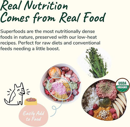 kin+kind Organic Multivitamin for Dogs &amp; Cats - Pet Supplement for Healthy Skin and Coat - Safe, Natural Formula with Wheatgrass, Kelp, Seaweed and Coconut - Made in USA - 4oz (Medium)