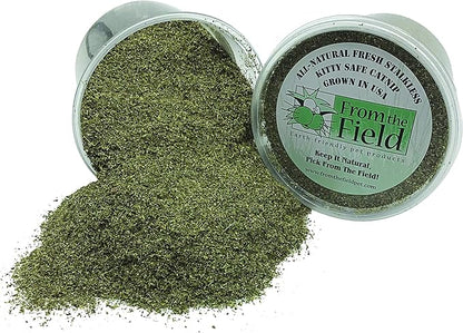 from The Field | Fine Ground Stalkless Catnip | Premium USA-Grown Catnip for Toys &amp; Playtime | Fresh, Potent, Non-Toxic, Eco-Friendly | Safe for Kittens &amp; Cats | Resealable 3.5 oz Tub