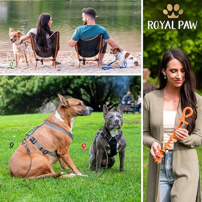 ROYAL-PAW Dog Tie Out Stake - for Large Dogs up to 210 lbs - Heavy Duty Dog Stake for Yard, Beach &amp; Camping Outside - Best in Ground Anchor for a Dog Cable, Leash, Lead Tether (1, Blue)