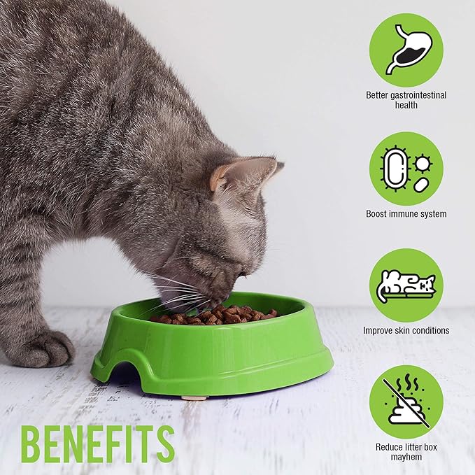 Skoon Probiotics Cat Supplement (60 Capsules) - Chicken &amp; Tuna Flavored - Improves Gut Health, Immunity, Skin Conditions, and Litterbox Smell