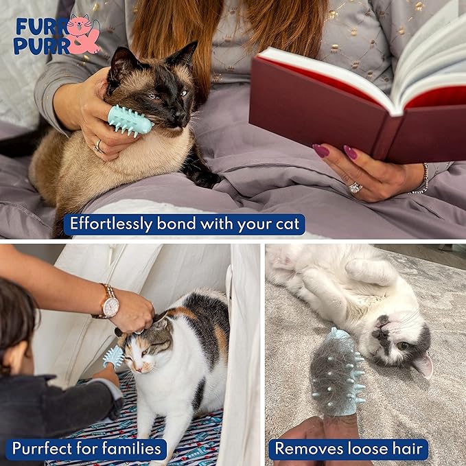 Furr&amp;Purr Cat Brush Set for Indoor Cats - Grooming Tools: Face Scratcher, Calming Massager, and Scratching Pad (2-Pack, Made in the USA)
