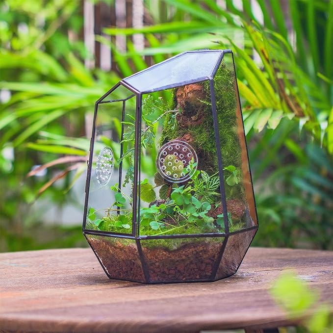 NCYP Closed Geometric Glass Enclosure with Front Opening Door &amp; 2 Vent Holes for Insects, Succulent, Cacti - 7.9"x6.9"x9.8" Black Irregular Terrarium Planter - Home Garden Tabletop Decor (No Plants)