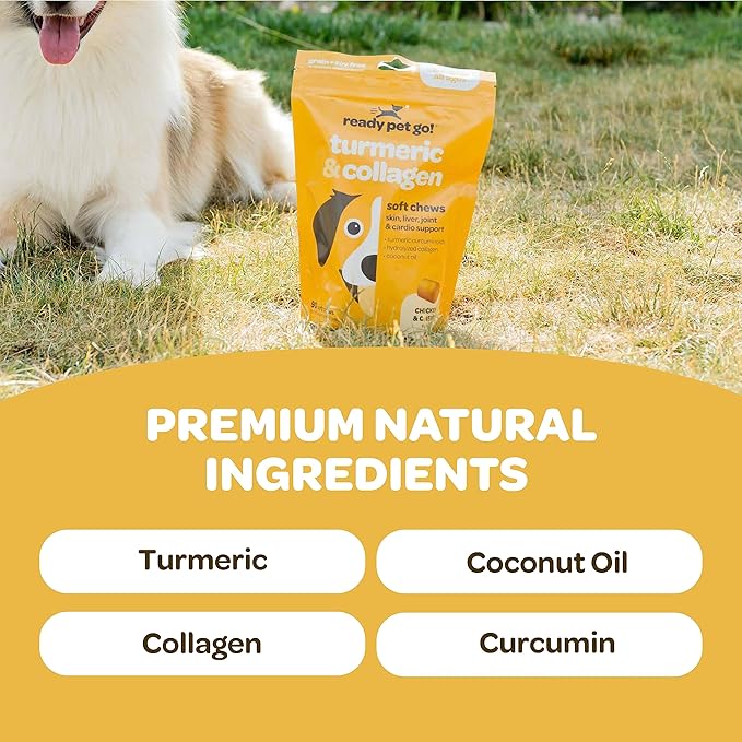 Turmeric for Dogs Soft Chews | Hip and Joint Chews for Dogs Comfort &amp; Mobility with Collagen for Dogs | Dog Joint Supplement for All Ages Breeds &amp; Sizes | NASC Certified &amp; Made in The USA | 90 Chews