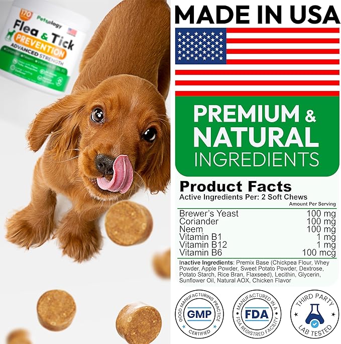 Flea and Tick Prevention for Dogs Pills - Natural Dog Flea &amp; Tick Control - 170 Soft Chewables - Oral Defense Treatment for Dogs Supplement - Vet Formulated Chews - All Breeds &amp; Ages - Made in USA