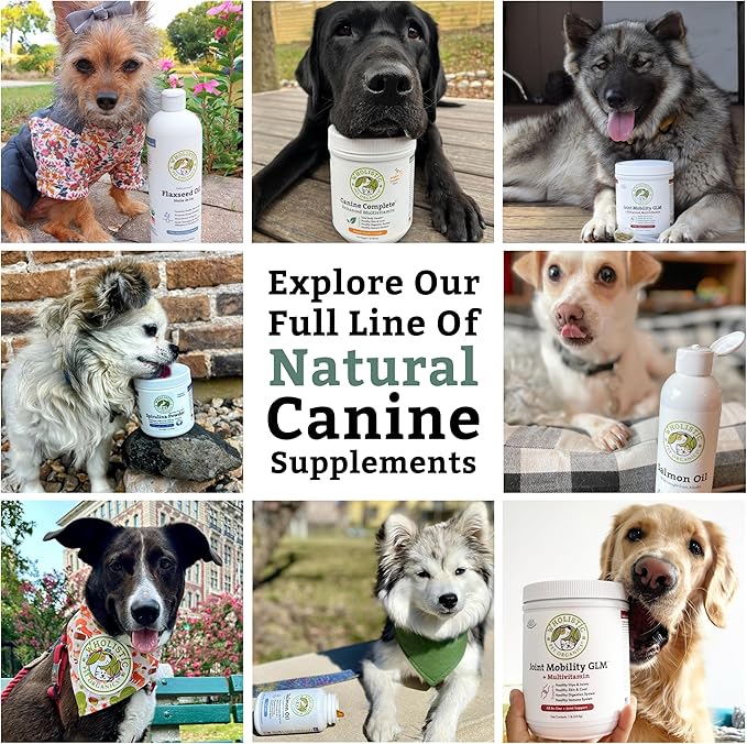 Wholistic Pet Organics Joint Supplement for Dogs - 4 Oz - Daily Dog Hip and Joint Supplement with Glucosamine Chondroitin &amp; MSM to Support Mobility - All Breeds &amp; Ages - Organic Glucosamine for Dogs