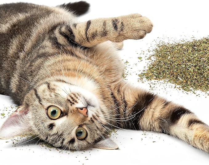 Petlinks HappyNip Catnip &amp; Silvervine Blend for Cats &amp; Kittens, Highly Potent Stimulant/Attractant, Great for Finicky Felines, Resealable Pouch - 2.0 oz