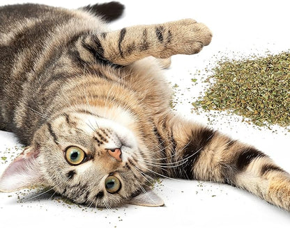 Petlinks HappyNip Catnip &amp; Silvervine Blend for Cats &amp; Kittens, Highly Potent Stimulant/Attractant, Great for Finicky Felines, Resealable Pouch - 2.0 oz