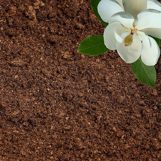 Peat Moss for Plants – Organic Sphagnum Peat Moss for Orchids, Terrariums, Seed Starting, Reptiles &amp; Potting Soil Mix (3 quarts)