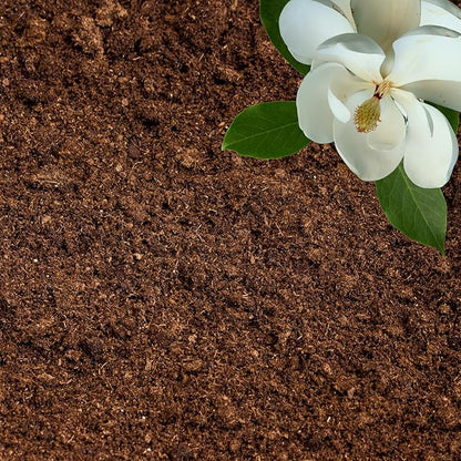 Peat Moss for Plants – Organic Sphagnum Peat Moss for Orchids, Terrariums, Seed Starting, Reptiles &amp; Potting Soil Mix (3 quarts)