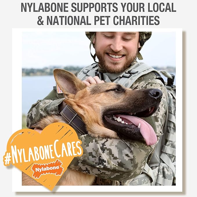 Nylabone Nutri Dent Dog Dental Chews, Natural Teeth Cleaning Treats &amp; Breath Freshener for Dogs, Fresh Mint Flavor, Mini (78 Count)