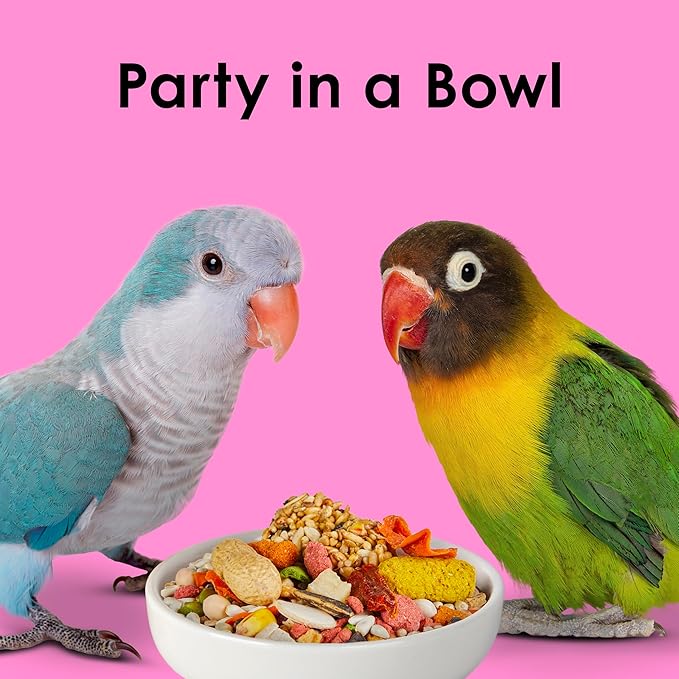 Kaytee Fiesta Big Bites Small Parrot &amp; Conure Food, Nutritious and Fun Blend, Supports Skin, Feather, Digestion, Brain and Heart Health, 4 pounds