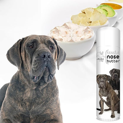The Blissful Dog Cane Corso Nose Butter for Dry, Cracked Skin, Lick-Safe Dog Nose Balm with Moisturizing Shea Butter, Almond, Olive, and Essential Oils, Pet Supplies, Uncented, 0.50 oz.