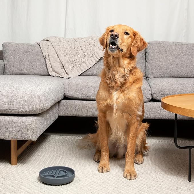 The Slowdown Bowl Silicone Slow Feeder for Dogs &amp; Puppies, Slow Eating Modern Lick Mat Design Reduces Gulping, Fits 2 Cups 7.5” Across x 1.5” Tall, Mealtime Challenge, Medium-Blush