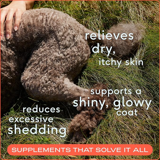 Native Pet Omega 3 Fish Oil for Dogs &amp; Cats - Promotes Healthy Skin, Shiny Coat, &amp; Strong Joints - Made with Wild Alaskan Salmon Oil for Dogs – Tasty, Fast-Absorbing Omega 3 6 9 Liquid Supplement- 8oz