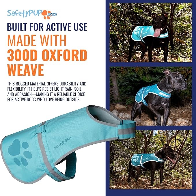 Dog Reflective Vest – Hi-Vis Fluorescent Visibility That Helps to Safeguard Your Pet On/Off Leash in Urban &amp; Rural Areas (Teal, Large)