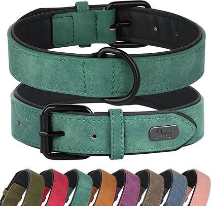 Didog Soft Padded Leather Dog Collar, Breathable Heavy Duty Dog Collar Leather with Adjustable Rust-Proof Metal Buckle for Small Medium Large Dogs, Green, M: Total length 16&