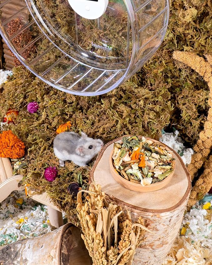 Niteangel Hamster Food &amp; Treats Toy - Small Animal Natural Food for Syrian Golden Dwarf Robo Hamsters or Other Small-Sized Pets