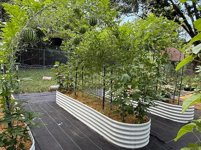 A ANLEOLIFE 12X3X1.5 ft Galvanized Raised Garden Beds Outdoor, Oval Extra Large Metal Planter Box for Planting Vegetables Flowers Herb, Anti-Rust &amp; Easy-Setup, Antique White