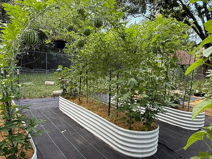 A ANLEOLIFE 12X3X1.5 ft Galvanized Raised Garden Beds Outdoor, Oval Extra Large Metal Planter Box for Planting Vegetables Flowers Herb, Anti-Rust &amp; Easy-Setup, Antique White