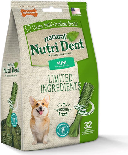 Nylabone Nutri Dent Dog Dental Chews - Natural Dog Teeth Cleaning &amp; Breath Freshener - Dental Treats for Dogs - Fresh Breath Flavor, Mini (32 Count)