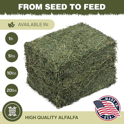 High Desert Alfalfa Hay for Rabbits, Guinea Pigs, Chinchillas &amp; Small Pets – Protein-Rich Natural Hay for Young, Growing Animals – High-Fiber, Hand-Packed, Additive-Free, Grown in USA – 10 lb Box