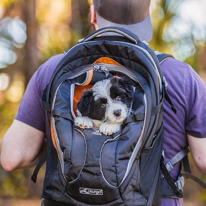 Kurgo G-Train Dog Carrier Backpack for Small Pets Up to 25 Lbs, TSA &amp; Airline Approved, Navy Blue