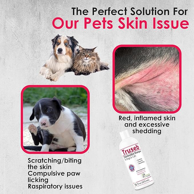 Truseb Topical Ketoconazole and Chlorhexidine Shampoo for Dogs, Cats &amp; Horses with Aloe Vera and Conditioner(USA) (Ketoconazole &amp; Chlorhexidine Shampoo, 16 oz)
