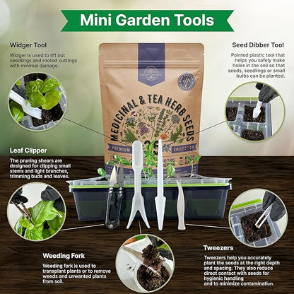 35 Medicinal &amp; Tea Herb Seeds Variety Pack for Indoor &amp; Outdoors. 16,335+ Non-GMO Heirloom Garden Seeds: Anise, Bergamot, Borage, Cilantro, Chamomile, Dandelion, Rosemary Seeds &amp; More