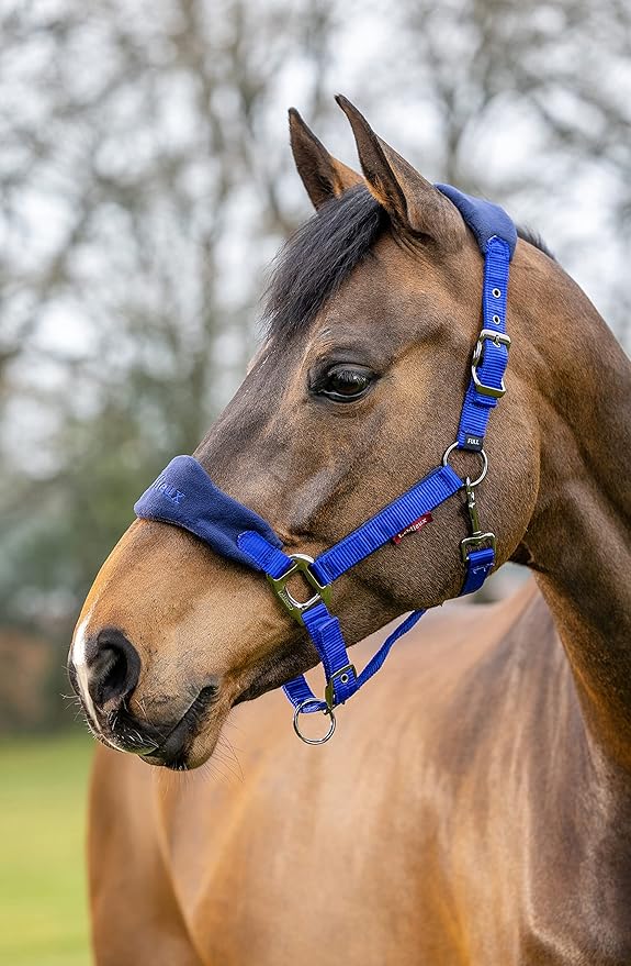 LeMieux Vogue Fleece Headcollar - Halter &amp; Leadrope - Extra Padding, Adjustable at Curb and Poll Strap