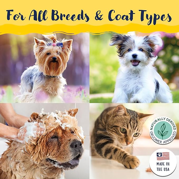 Bobbi Panter Dog Shampoo and Conditioner - Made in USA - All Natural 2-in-1 Formula for Nourish, Detangle &amp; Reduce Shedding - Concentrated 10:1 for Professional Groomers - Pear Scent, 1 Gallon