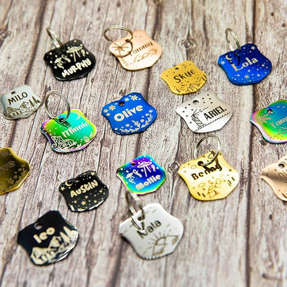 Personalized Dog Tag with 5 Lines of Custom Deep Engraved Durable Stainless Steel Pet ID Name Tag Designer Regular Size Badge