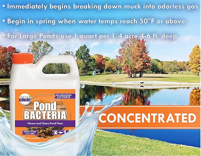 Pondworx Pond Bacteria - Concentrated &amp; Formulated for Large Ponds, Water Features - Safe for Koi - 32ounes &amp; Treats up to a Quarter Acre Pond