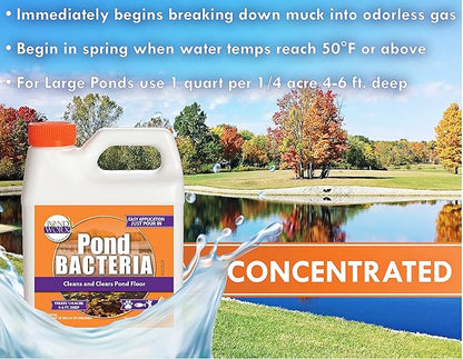 Pondworx Pond Bacteria - Concentrated &amp; Formulated for Large Ponds, Water Features - Safe for Koi - 32ounes &amp; Treats up to a Quarter Acre Pond