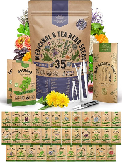 35 Medicinal &amp; Tea Herb Seeds Variety Pack for Indoor &amp; Outdoors. 16,335+ Non-GMO Heirloom Garden Seeds: Anise, Bergamot, Borage, Cilantro, Chamomile, Dandelion, Rosemary Seeds &amp; More