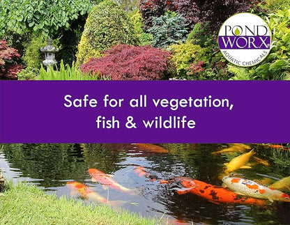 Pondworx Pond Bacteria - Concentrated &amp; Formulated for Water Features - Safe for Koi - 16 Ounces &amp; Treats up to 2,500 gallons of Water