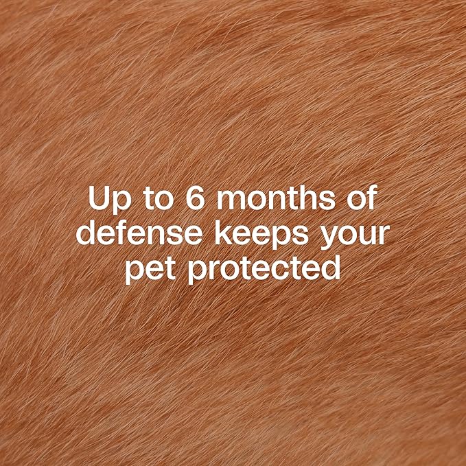 Adams Flea &amp; Tick Collar Plus for Dogs &amp; Puppies |2 Pack |12-Month Protection |One Size Fits All Dogs &amp; Puppies 12 Weeks and Older |Kills Fleas and Ticks |Repels Mosquitoes (excluding California)