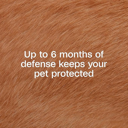 Adams Flea &amp; Tick Collar Plus for Dogs &amp; Puppies |2 Pack |12-Month Protection |One Size Fits All Dogs &amp; Puppies 12 Weeks and Older |Kills Fleas and Ticks |Repels Mosquitoes (excluding California)